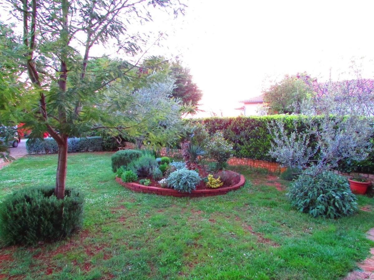 Apartman Perci Vrh Tar-Vabriga Esterno foto