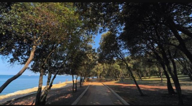 Apartman Perci Vrh Tar-Vabriga Esterno foto